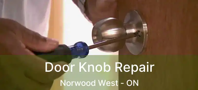 Door Knob Repair Norwood West - ON