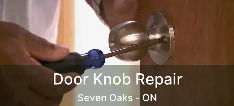  Door Knob Repair Seven Oaks - ON