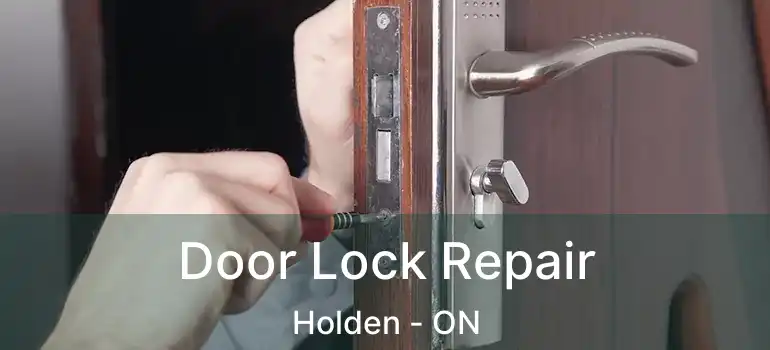  Door Lock Repair Holden - ON