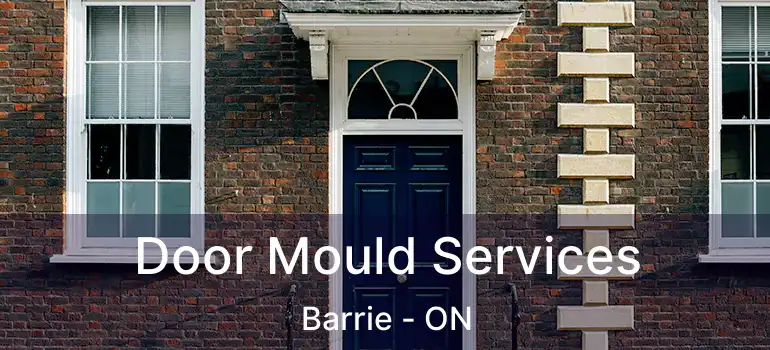  Door Mould Services Barrie - ON