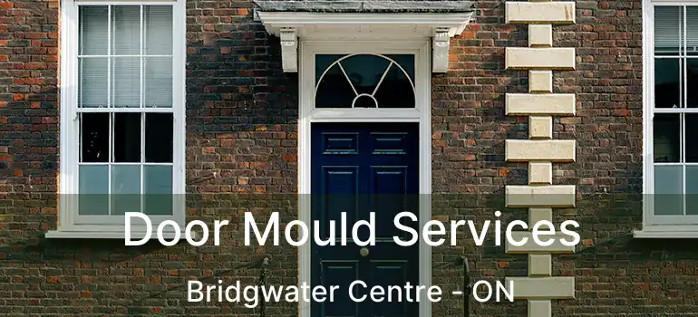  Door Mould Services Bridgwater Centre - ON