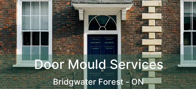  Door Mould Services Bridgwater Forest - ON