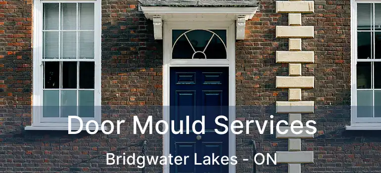  Door Mould Services Bridgwater Lakes - ON