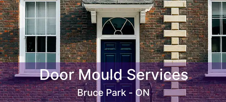  Door Mould Services Bruce Park - ON