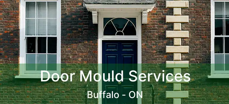  Door Mould Services Buffalo - ON