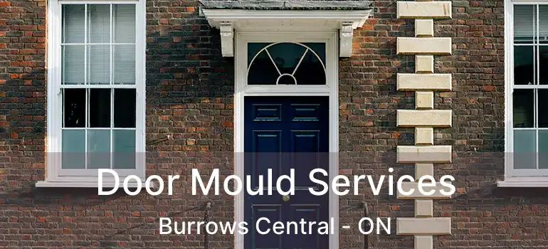  Door Mould Services Burrows Central - ON