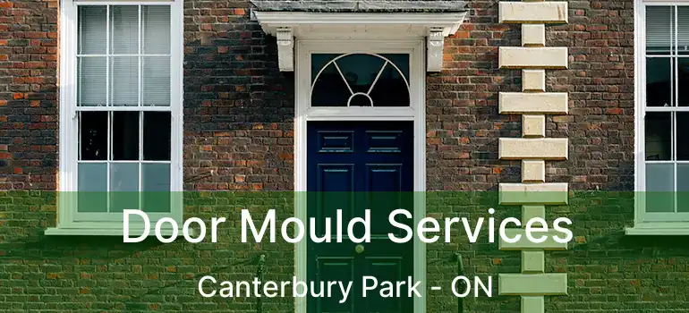  Door Mould Services Canterbury Park - ON