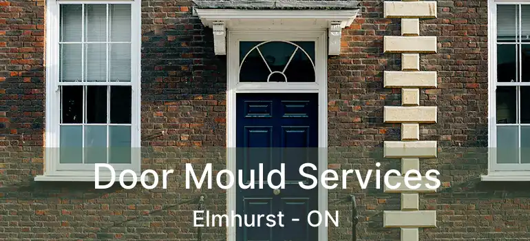  Door Mould Services Elmhurst - ON