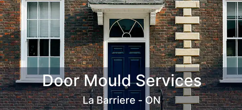  Door Mould Services La Barriere - ON