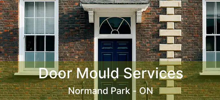  Door Mould Services Normand Park - ON