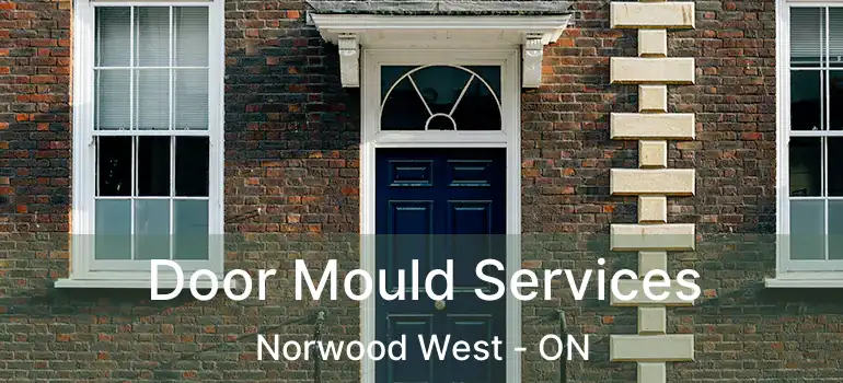  Door Mould Services Norwood West - ON