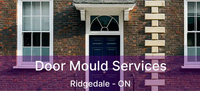  Door Mould Services Ridgedale - ON