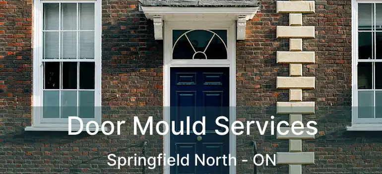  Door Mould Services Springfield North - ON