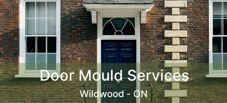  Door Mould Services Wildwood - ON