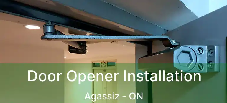  Door Opener Installation Agassiz - ON