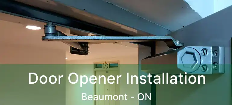  Door Opener Installation Beaumont - ON