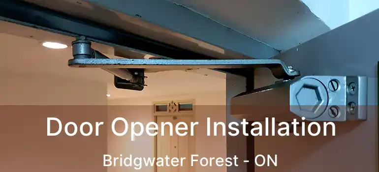  Door Opener Installation Bridgwater Forest - ON