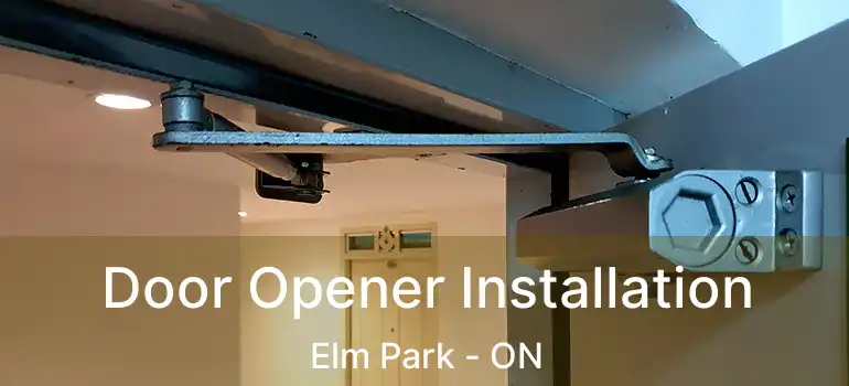  Door Opener Installation Elm Park - ON