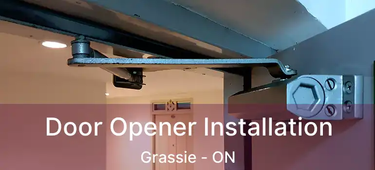  Door Opener Installation Grassie - ON