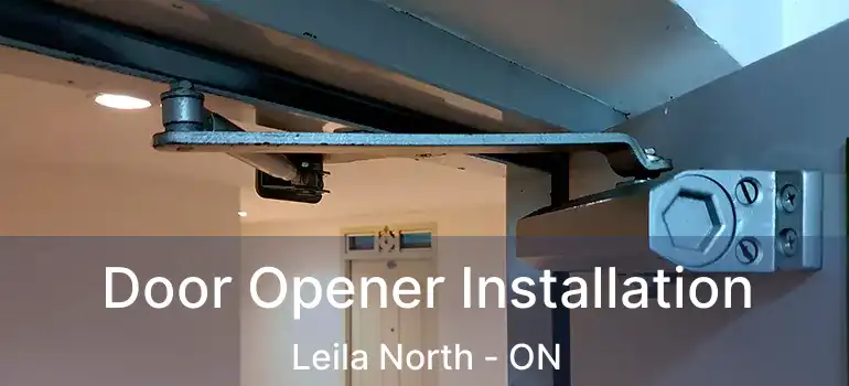  Door Opener Installation Leila North - ON