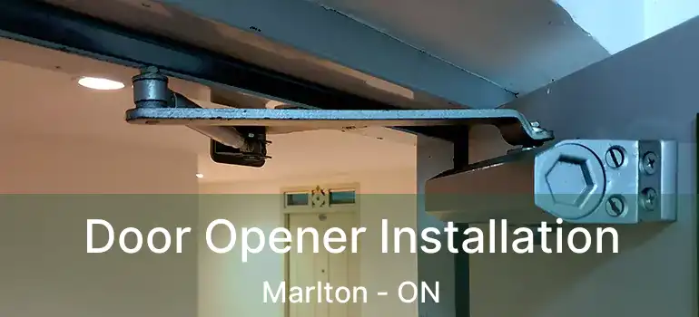  Door Opener Installation Marlton - ON