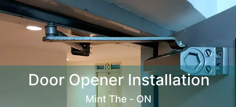  Door Opener Installation Mint The - ON