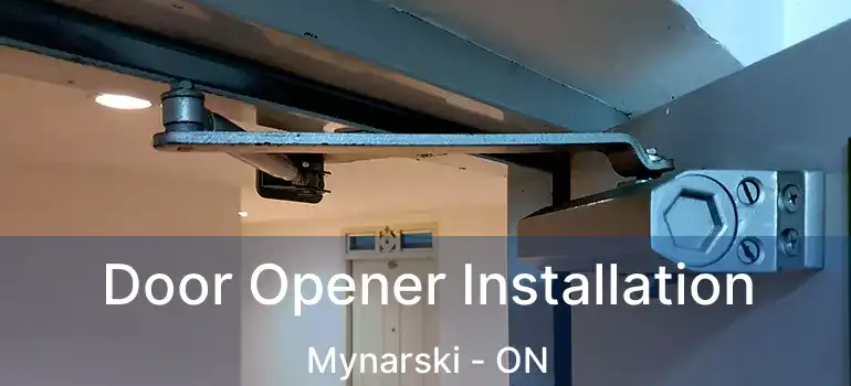  Door Opener Installation Mynarski - ON