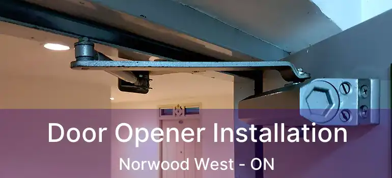  Door Opener Installation Norwood West - ON