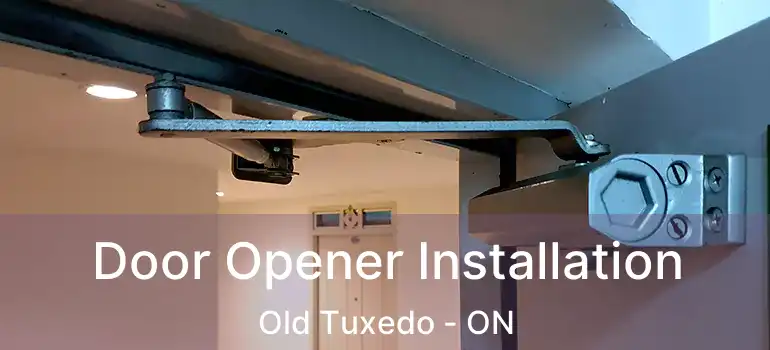  Door Opener Installation Old Tuxedo - ON