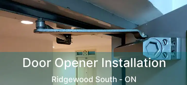  Door Opener Installation Ridgewood South - ON
