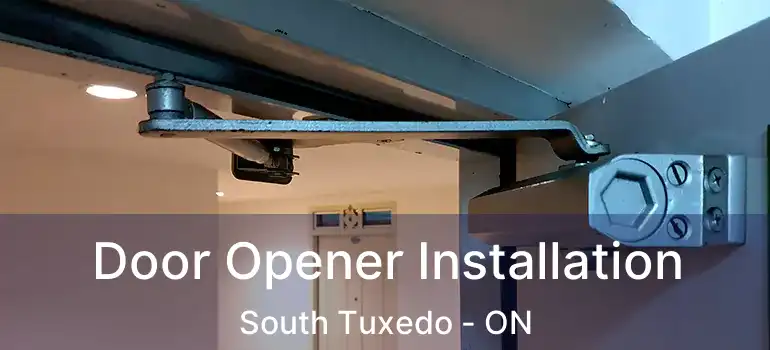  Door Opener Installation South Tuxedo - ON