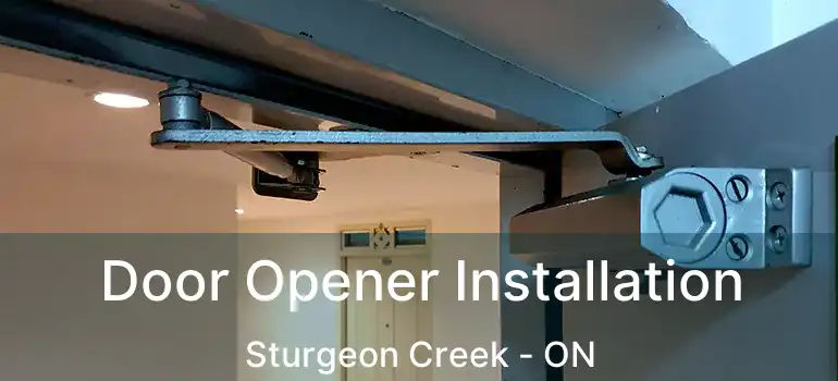  Door Opener Installation Sturgeon Creek - ON