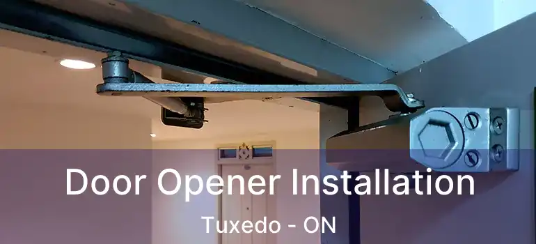  Door Opener Installation Tuxedo - ON