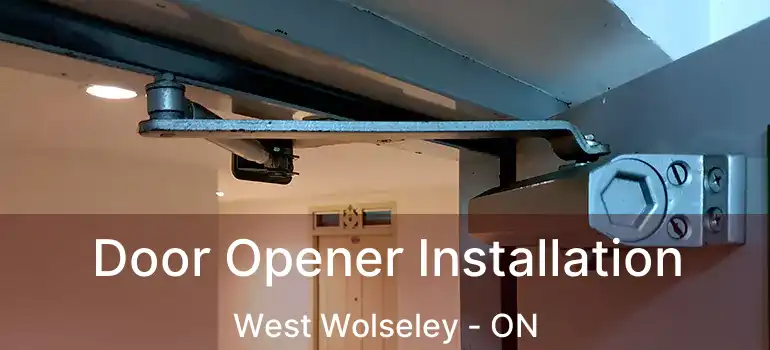  Door Opener Installation West Wolseley - ON