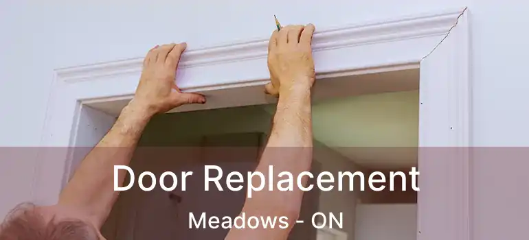  Door Replacement Meadows - ON