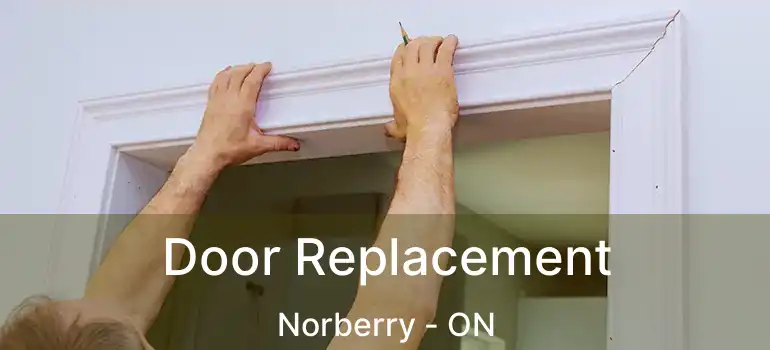  Door Replacement Norberry - ON