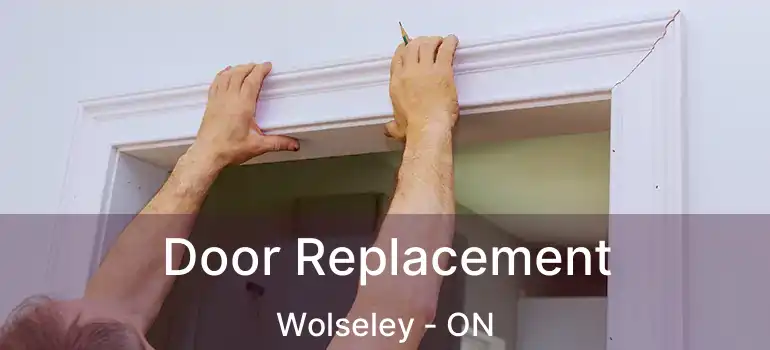  Door Replacement Wolseley - ON