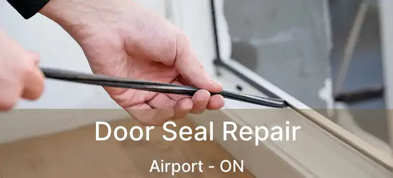  Door Seal Repair Airport - ON