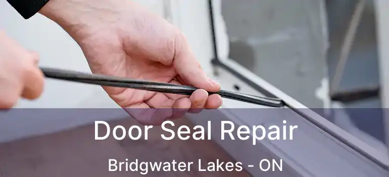  Door Seal Repair Bridgwater Lakes - ON
