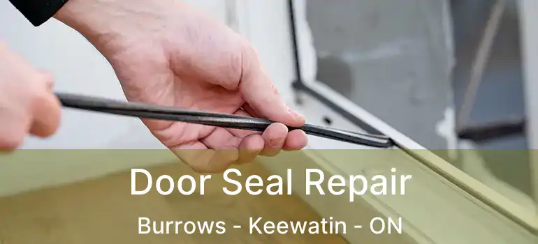  Door Seal Repair Burrows - Keewatin - ON