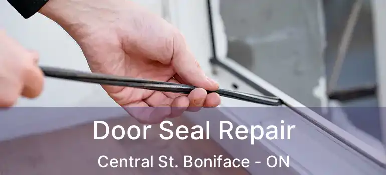  Door Seal Repair Central St. Boniface - ON