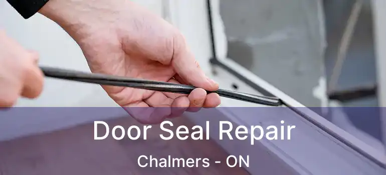  Door Seal Repair Chalmers - ON
