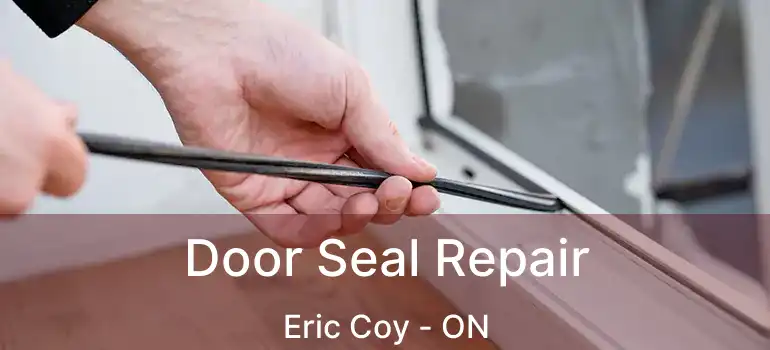  Door Seal Repair Eric Coy - ON