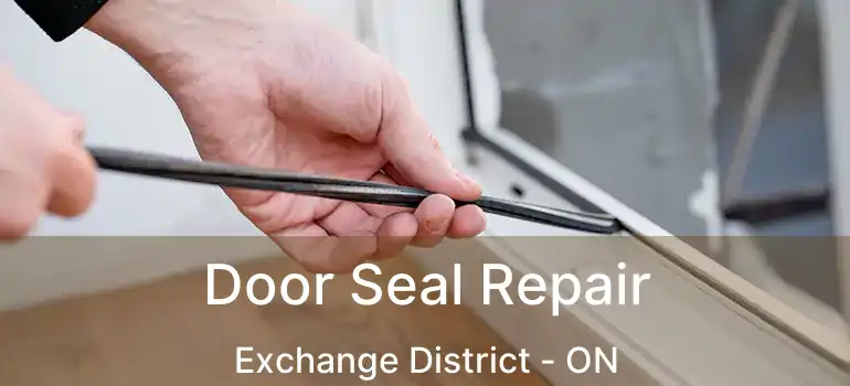 Door Seal Repair Exchange District - ON