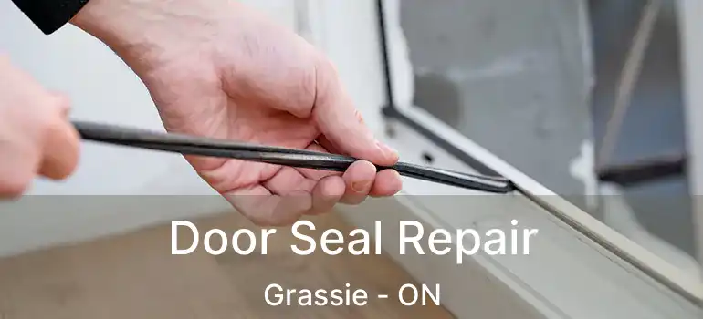  Door Seal Repair Grassie - ON