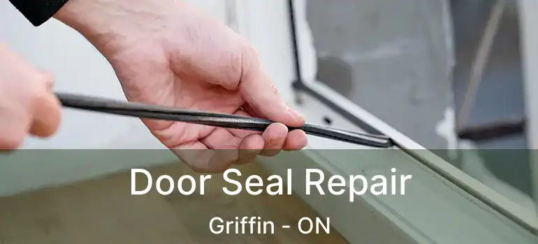  Door Seal Repair Griffin - ON