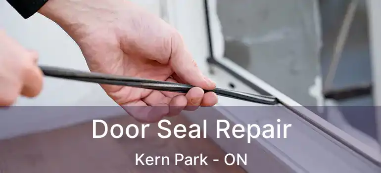  Door Seal Repair Kern Park - ON