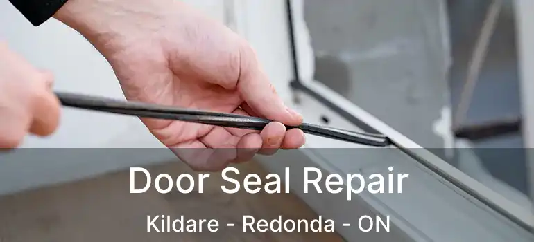  Door Seal Repair Kildare - Redonda - ON