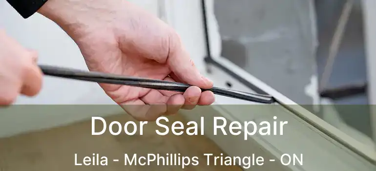 Door Seal Repair Leila - McPhillips Triangle - ON