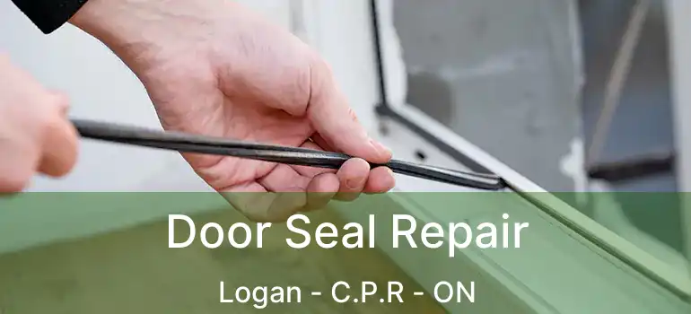  Door Seal Repair Logan - C.P.R - ON